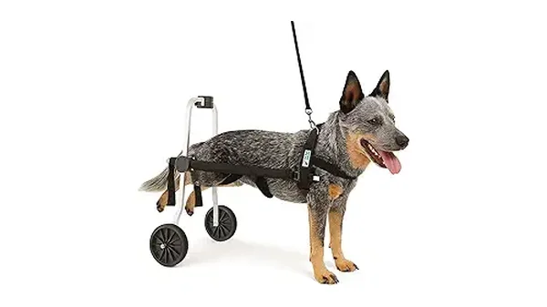 Melhores Cadeiras de Rodas para Cachorro
