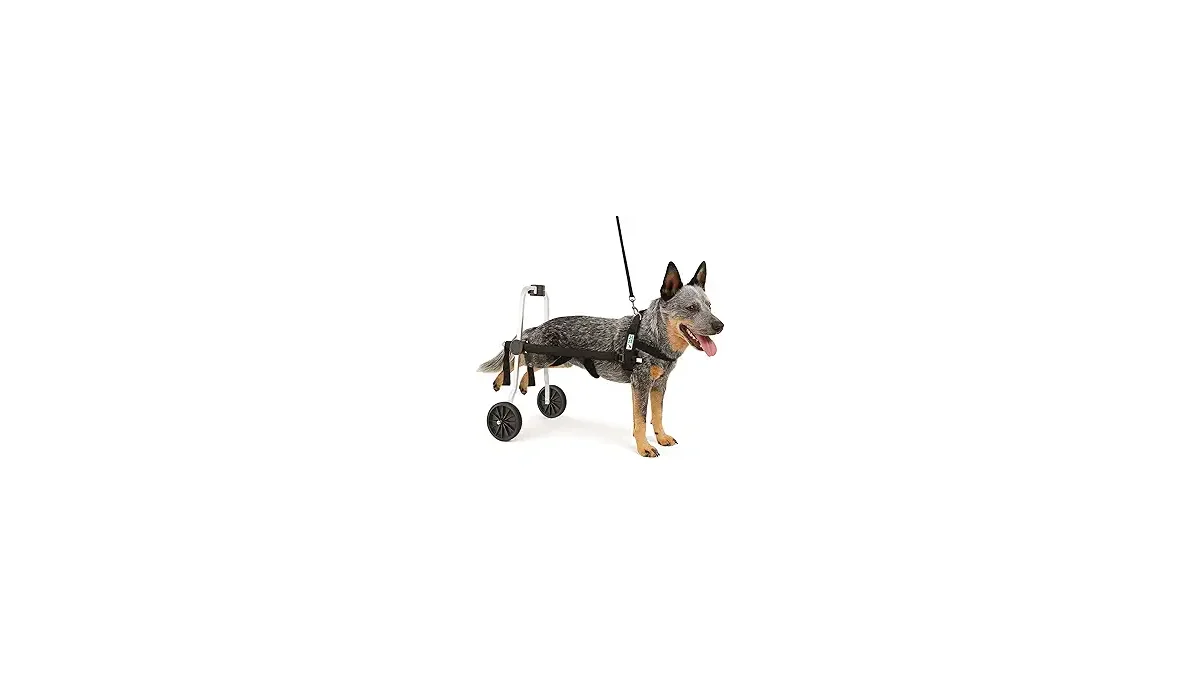 Melhores Cadeiras de Rodas para Cachorro