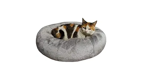 Melhores Camas para Gatos: Conforto e Segurança Ideais