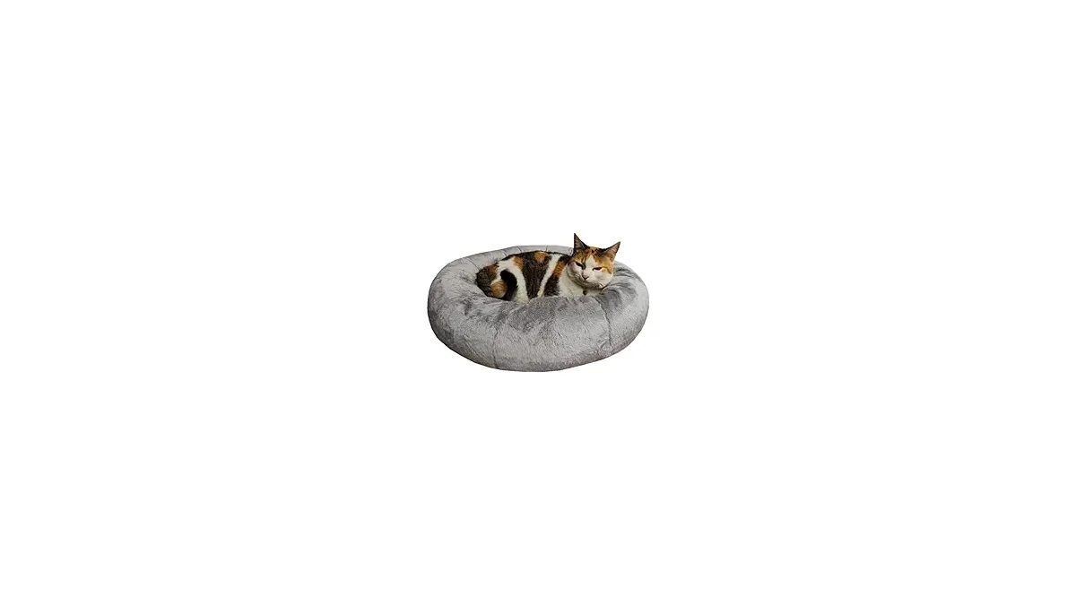 Melhores Camas para Gatos: Conforto e Segurança Ideais