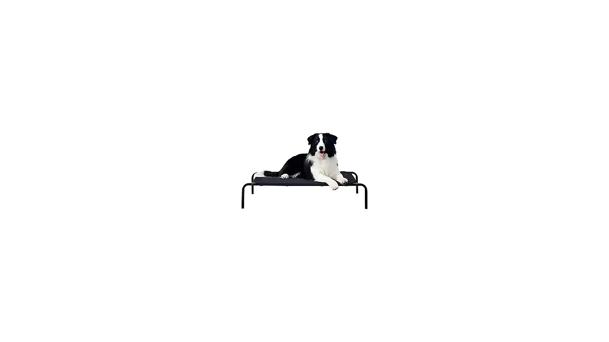 Melhores Camas para Cachorro: Conforto e Qualidade