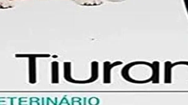 Melhores Sabonetes para Tratar Sarna em Cachorros