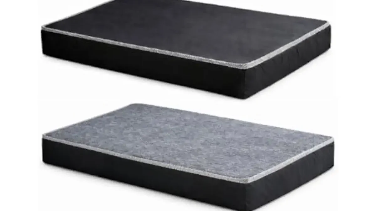 Melhores Camas para Cachorro: Conforto e Durabilidade