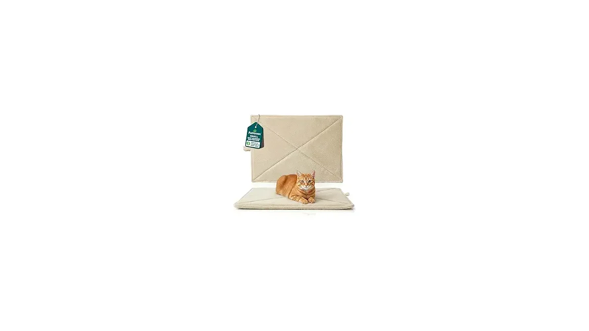 Melhores Camas Térmicas para Gatos em Conforto Total
