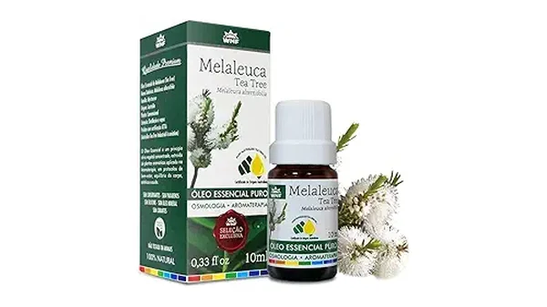 Melhores Óleos de Melaleuca: Puro ou Diluído? Descubra!